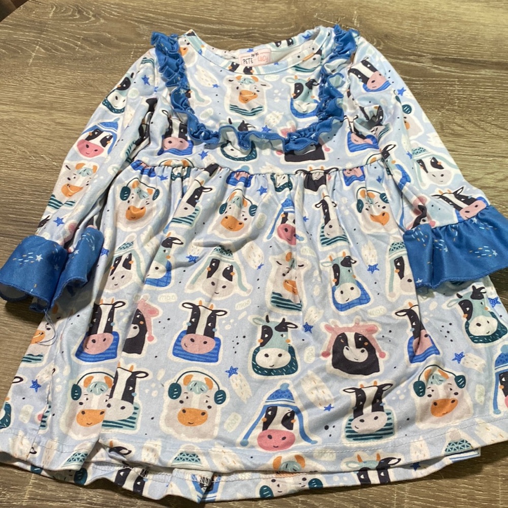 Pete and Lucy size 2t dress